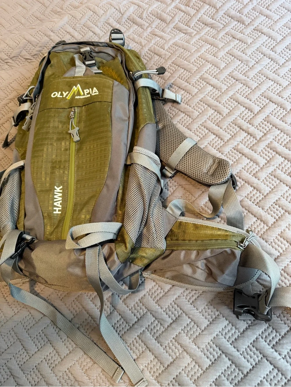 Hawk Olive Green Men's Daypack Backpack